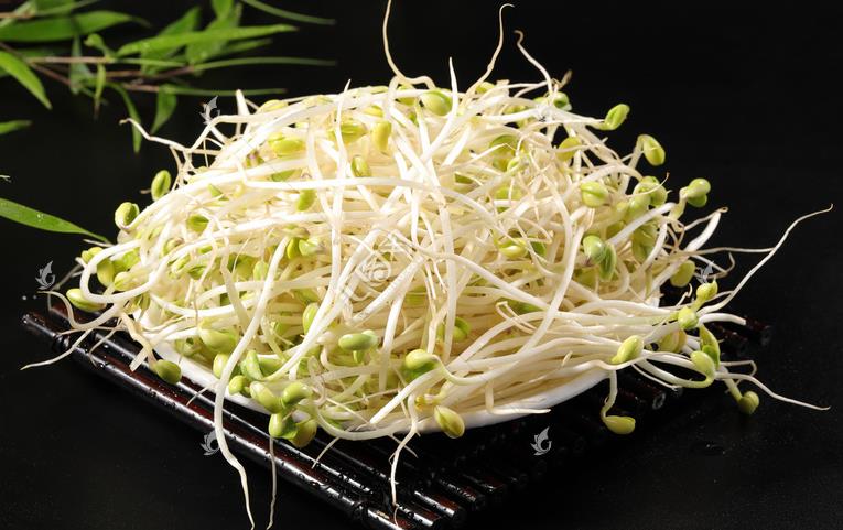 無公害綠色豆芽，怎么生產(chǎn)出來的？全套生產(chǎn)過程如此方便智能